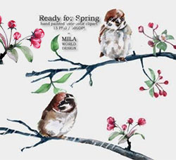 15张高清背景透明的北欧风水彩花鸟PNG图片：Ready for Spring Watercolor Clip Art